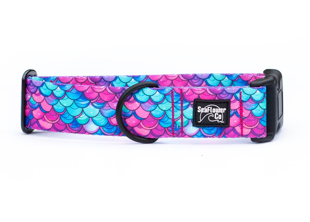 Dog collar with mermaid scale pattern on a white background