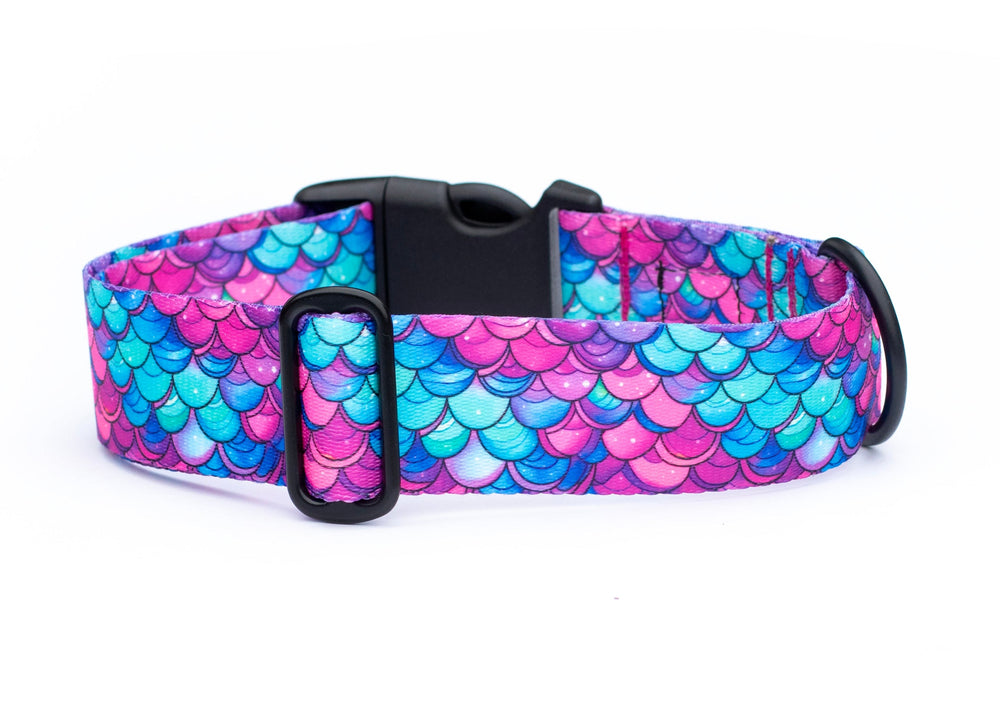 Dog collar with mermaid scale pattern on a white background