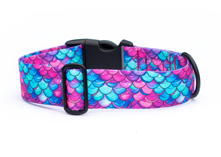 Dog collar with mermaid scale pattern on a white background