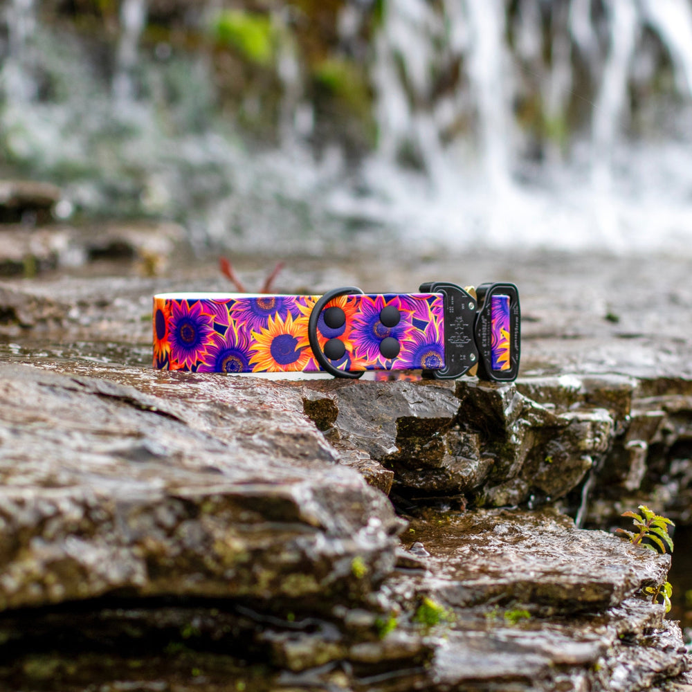 UV Printed BioThane Collar With Quick Release Buckle | SeaFlower Co