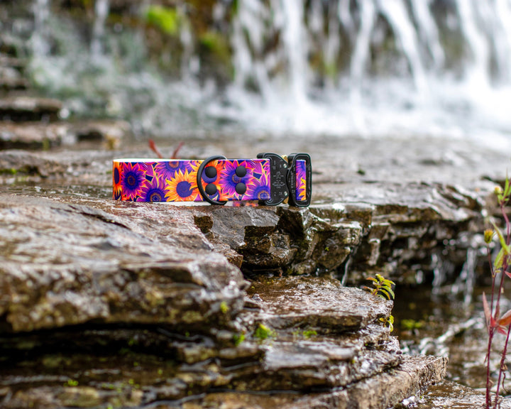 UV Printed BioThane Collar With Quick Release Buckle | SeaFlower Co