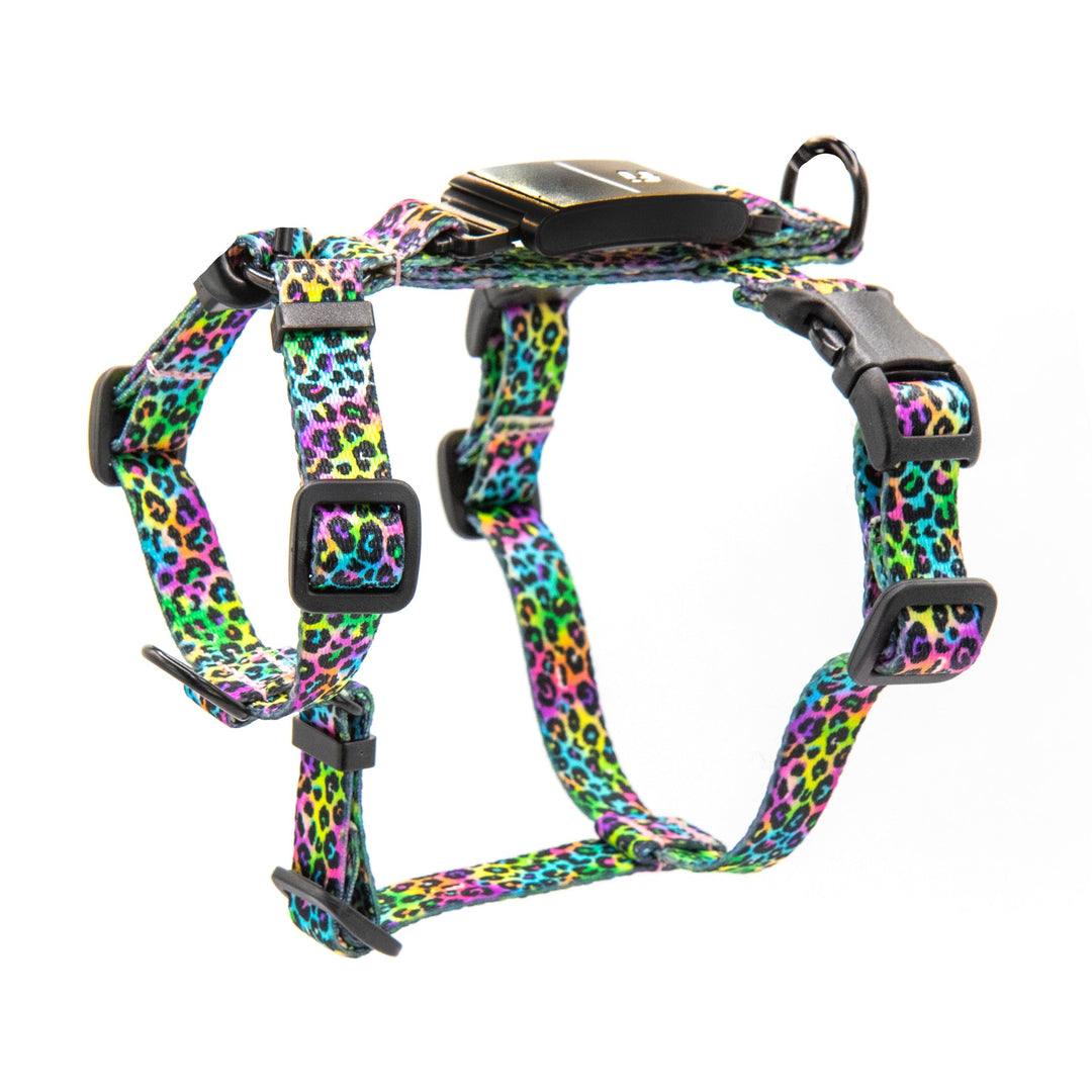 Extra Small Fi Compatible Harness | SeaFlower Co