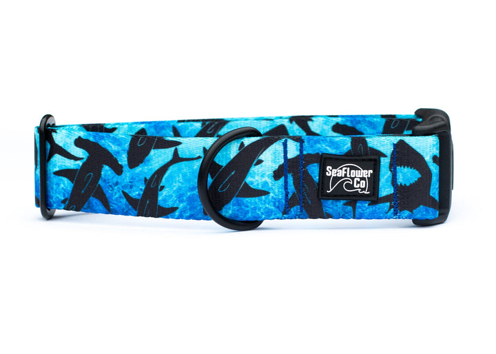 Blue Shark Dog Collar | SeaFlower Co