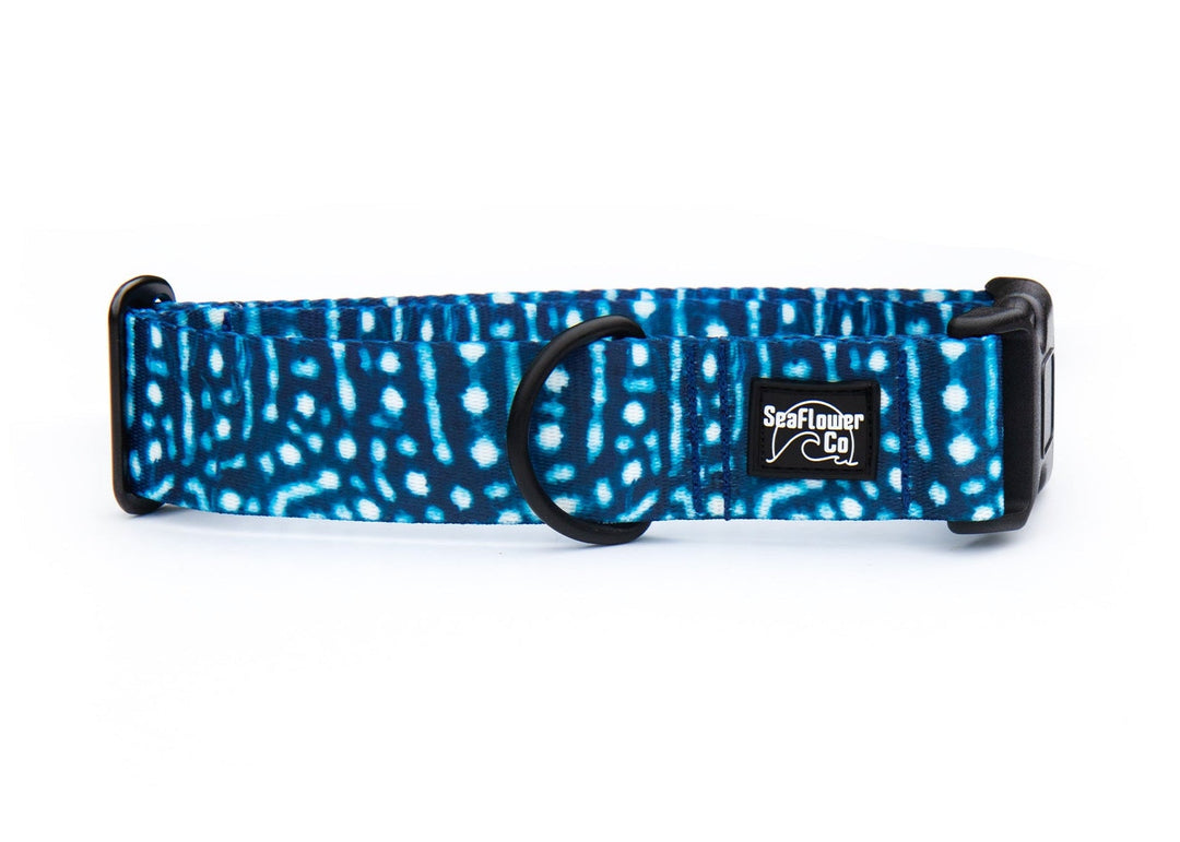 Whale Shark Dog Collar | SeaFlower Co
