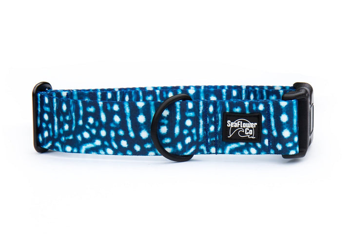 Whale Shark Dog Collar | SeaFlower Co