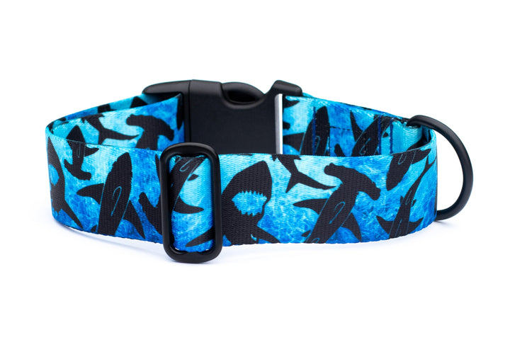 Dog collar with shark pattern on a blue background
