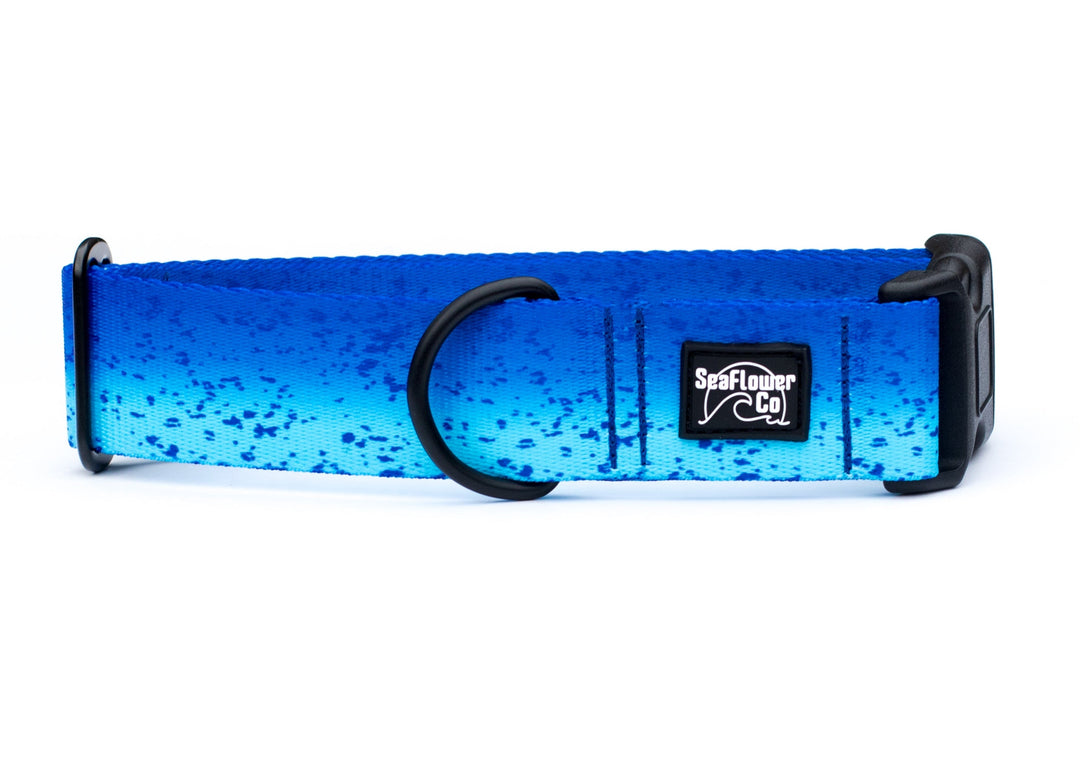 Blue Mahi Durable Dog Collar | SeaFlower Co