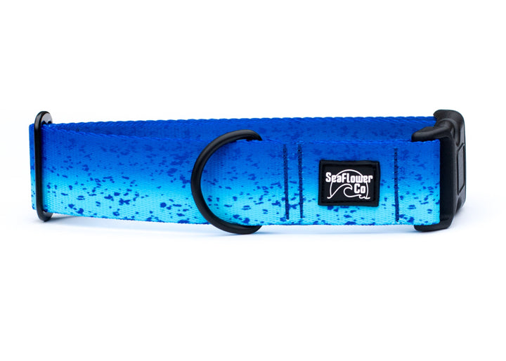 Blue Mahi Durable Dog Collar | SeaFlower Co