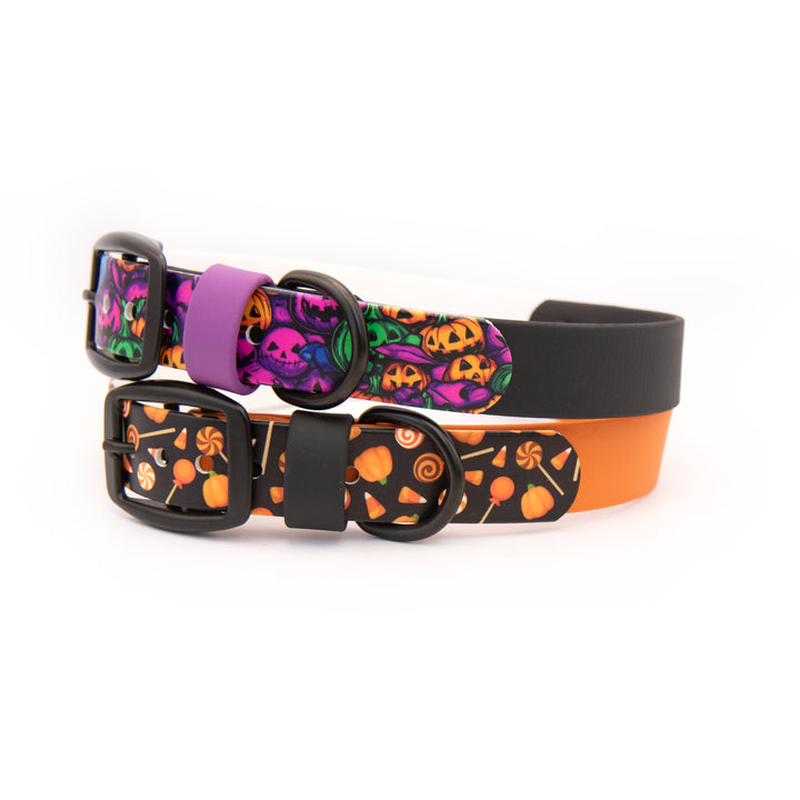 Two dog collars stacked on a white background. The top collar has a black base with a purple collar band and a multicolor Halloween pattern featuring skulls, pumpkins, and ghosts.