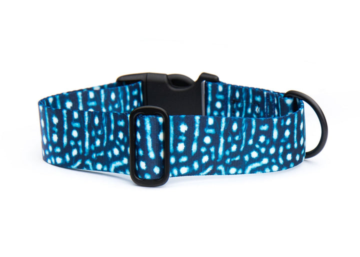 Whale Shark Dog Collar | SeaFlower Co