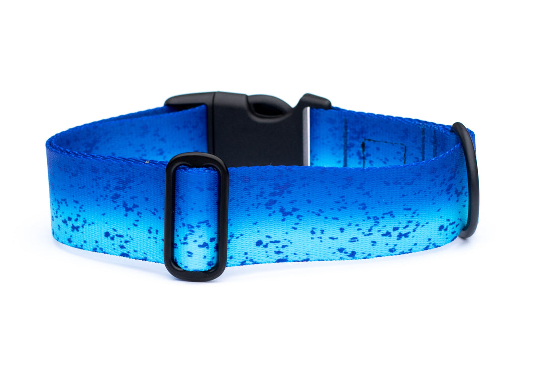 Blue Mahi Durable Dog Collar | SeaFlower Co