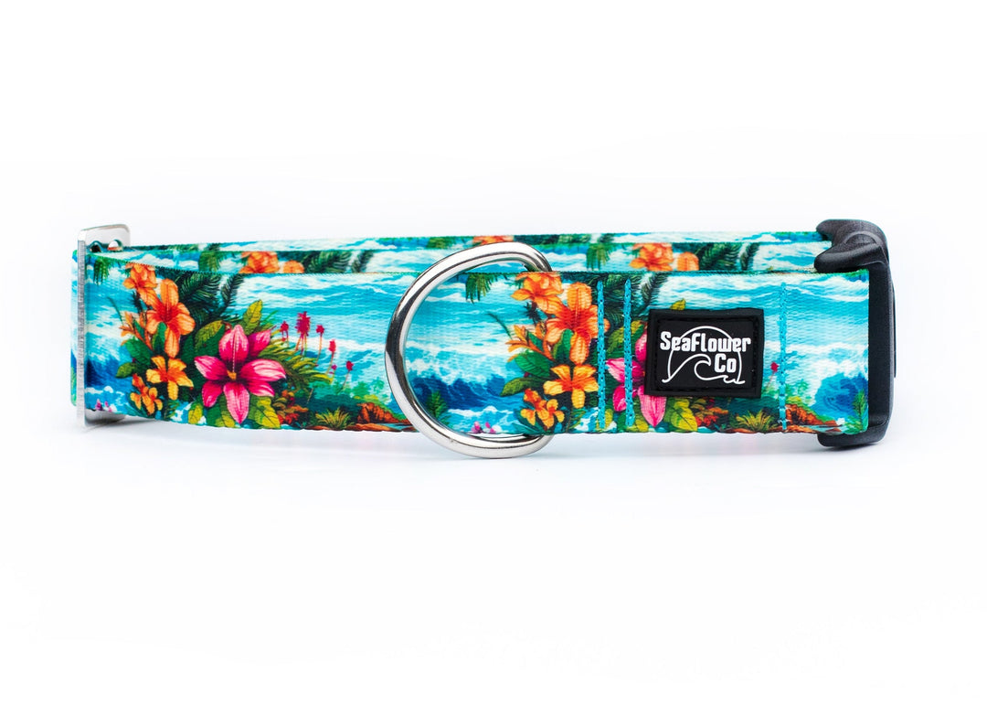 Hawaii Beach Pet Collar | Stylish & Durable Dog Wear