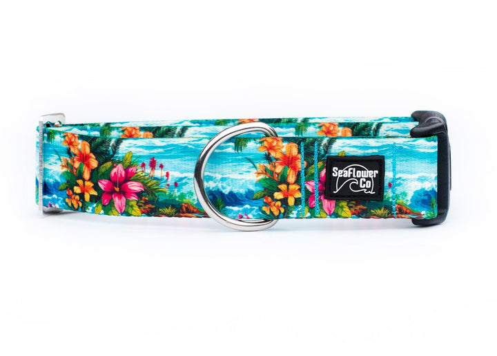 Hawaii Beach Pet Collar | Stylish & Durable Dog Wear