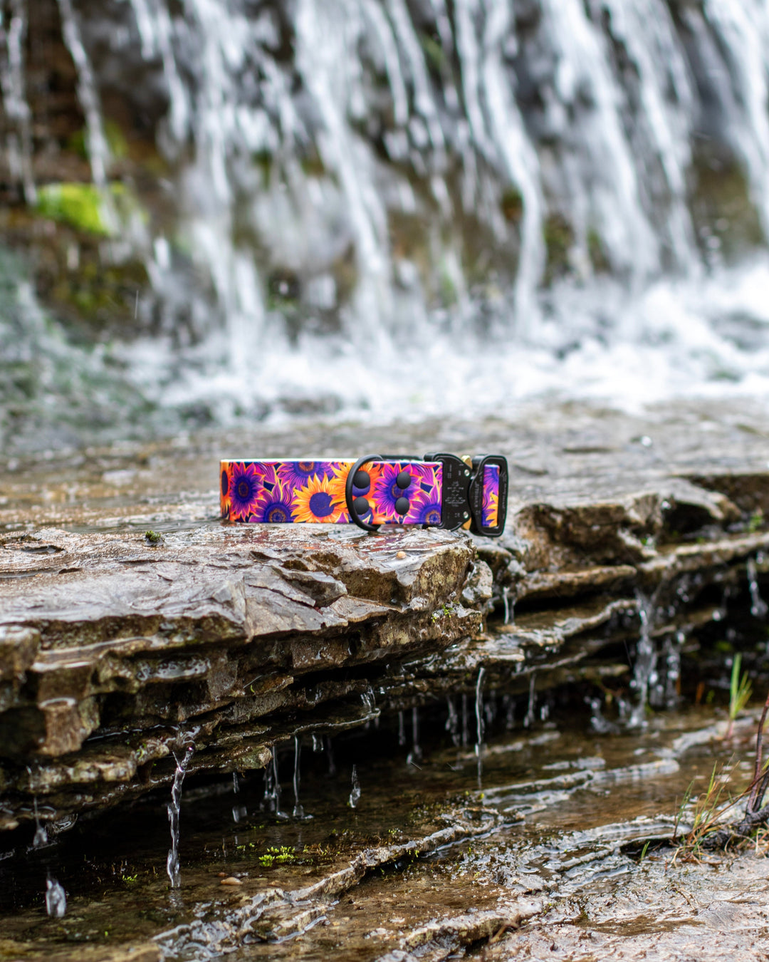 UV Printed BioThane Collar With Quick Release Buckle | SeaFlower Co