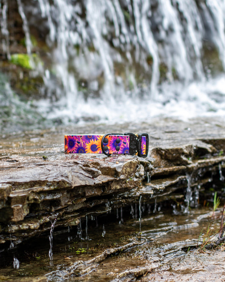 UV Printed BioThane Collar With Quick Release Buckle | SeaFlower Co