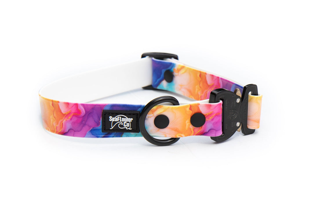 Colorful dog collar with a brand logo on a white background