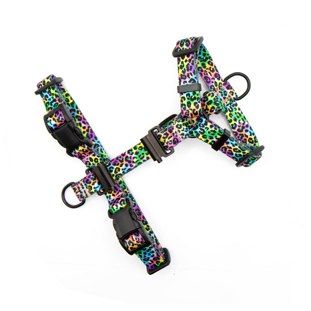 Cat And Extra Small Breed Fi Compatible Harness | SeaFlower Co