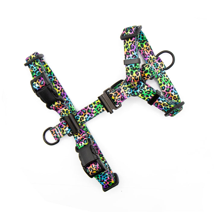 Cat And Extra Small Breed Fi Compatible Harness | SeaFlower Co