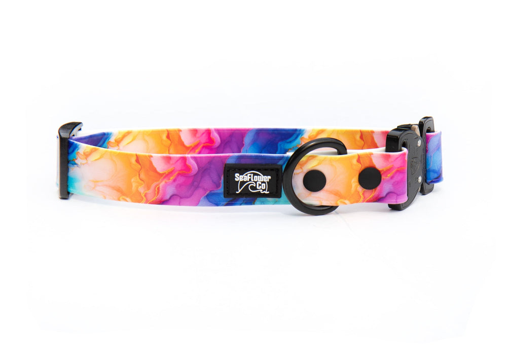 Colorful dog collar with a tie-dye pattern on a white background