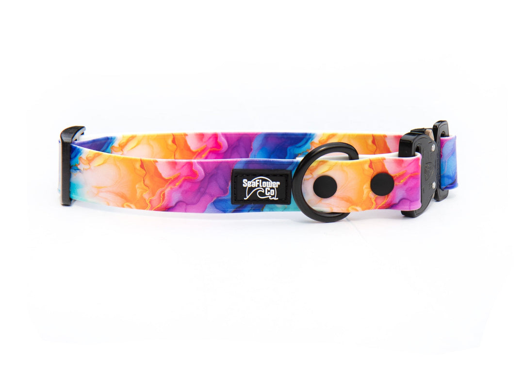 Colorful dog collar with a tie-dye pattern on a white background
