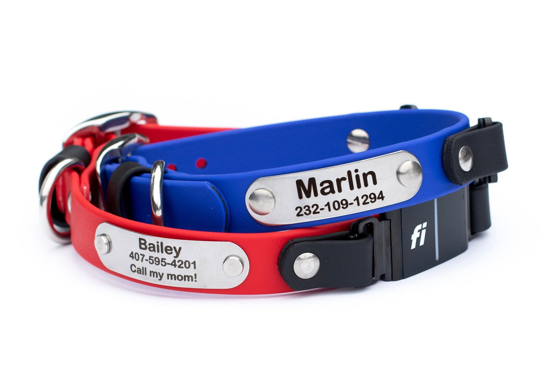 Personalized Fi 3 Compatible Waterproof Collar  With Customized Nameplate | SeaFlower Co