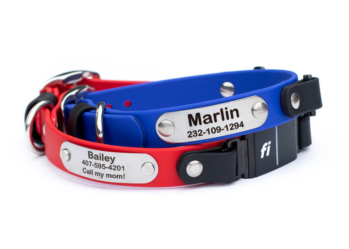 Personalized Fi 3 Compatible Waterproof Collar  With Customized Nameplate | SeaFlower Co