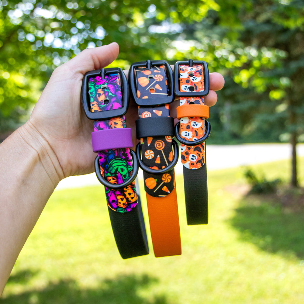 A hand holds three Halloween-themed dog collars with colorful printed straps and black buckles, set against a blurred green outdoor background of trees and grass.