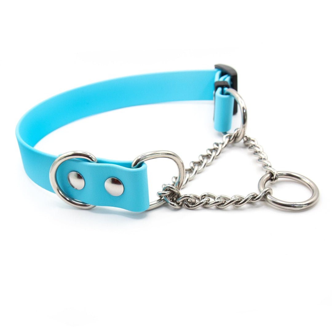 Two-Toned Waterproof BioThane® Martingale Collar 