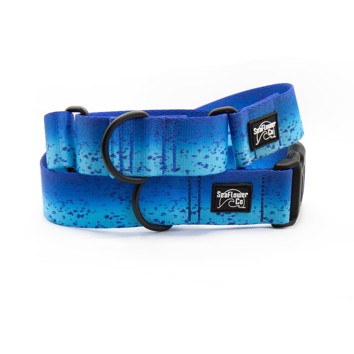 Blue Mahi Durable Dog Collar | SeaFlower Co