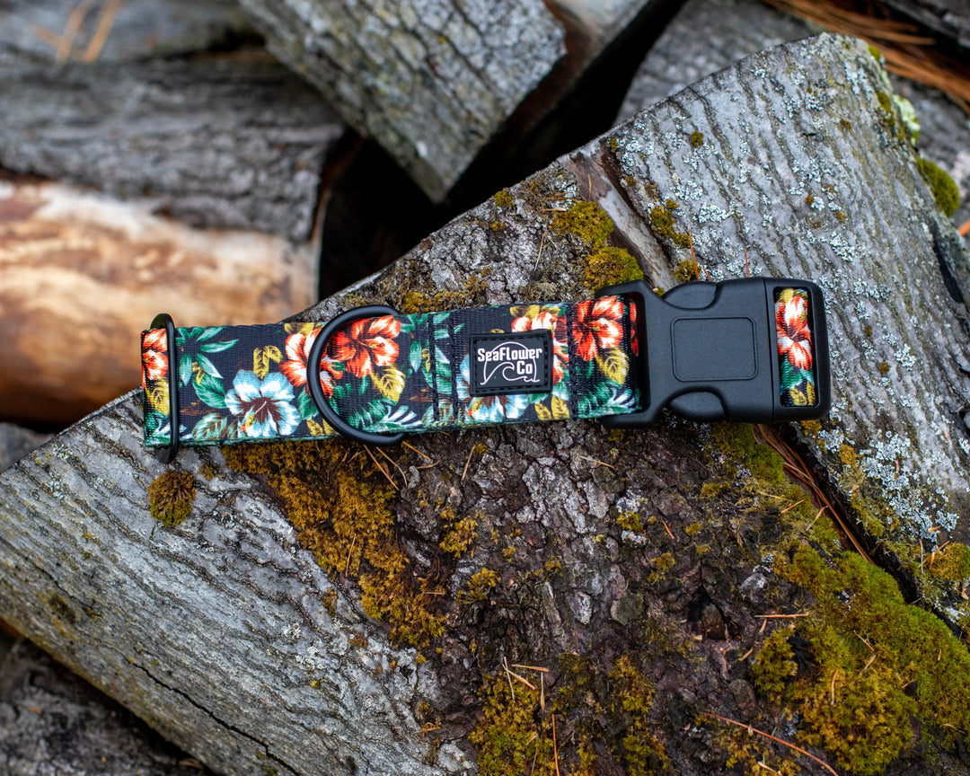 Floral-patterned dog collar on a wooden surface