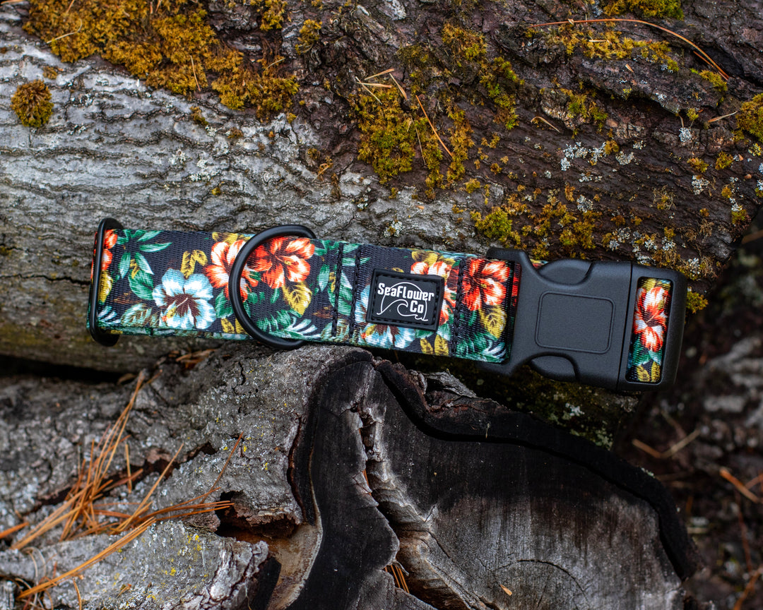 Floral-patterned dog collar on a textured surface