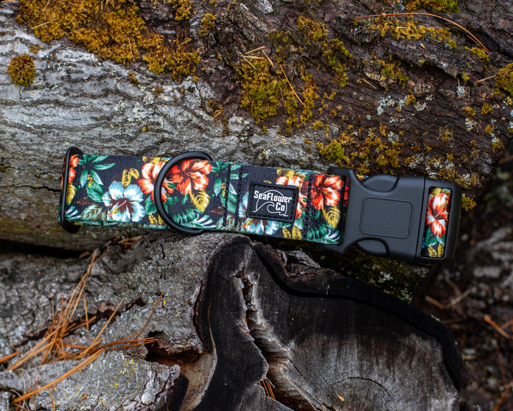 Floral-patterned dog collar on a textured surface