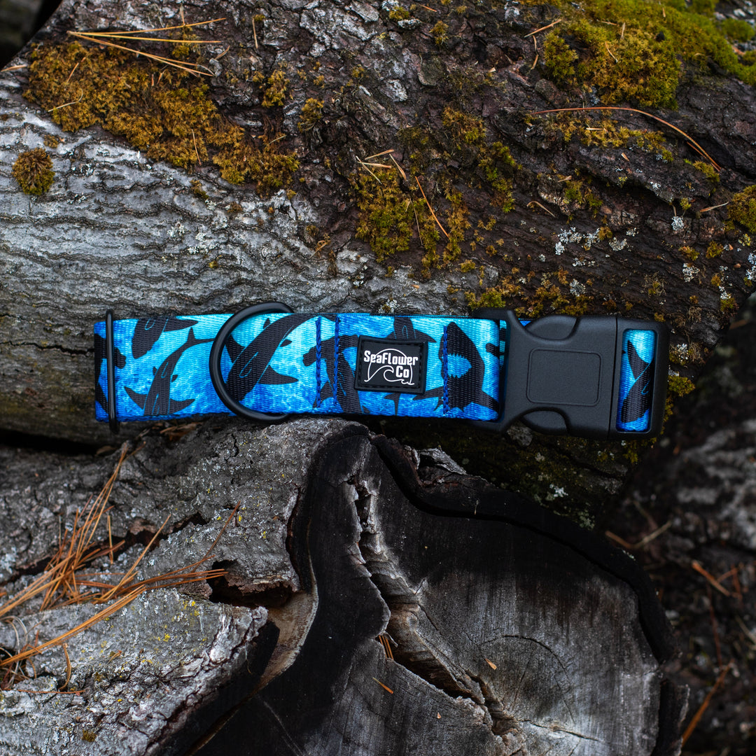 Blue Shark Durable Dog Collar | SeaFlower Co