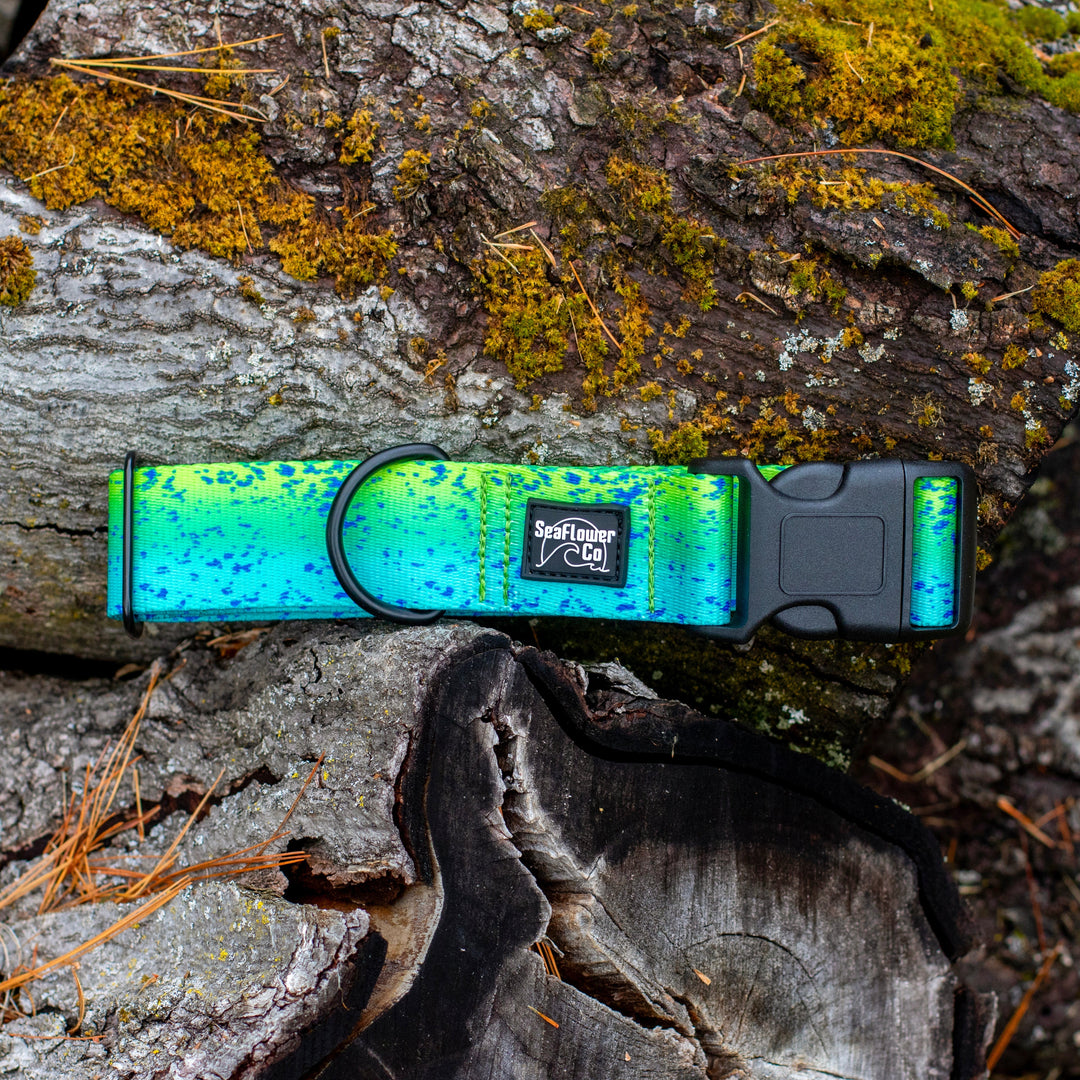 Mahi Mahi Durable Dog Collar