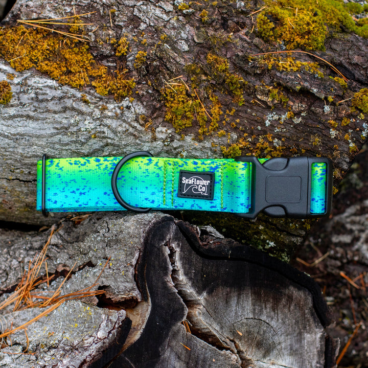 Mahi Mahi Durable Dog Collar