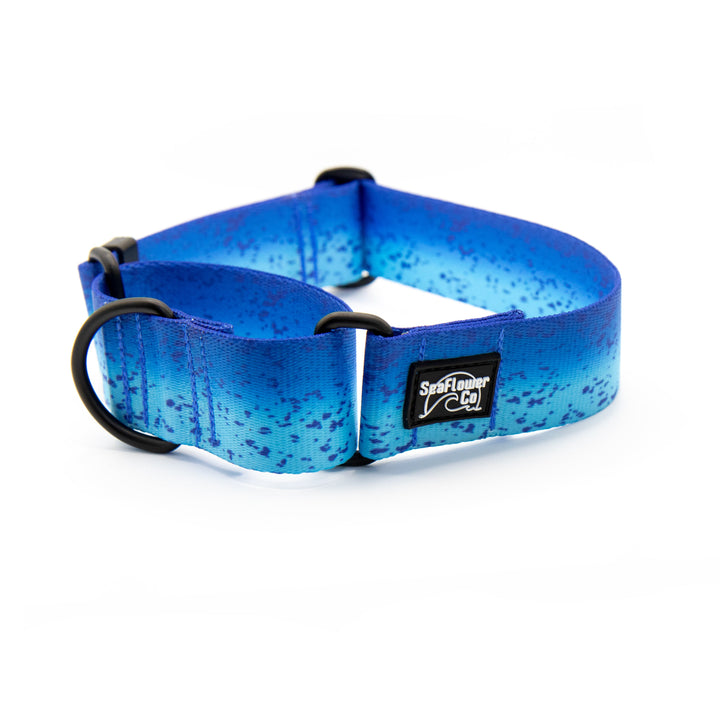 Blue Mahi Martingale Collar | SeaFlower Co
