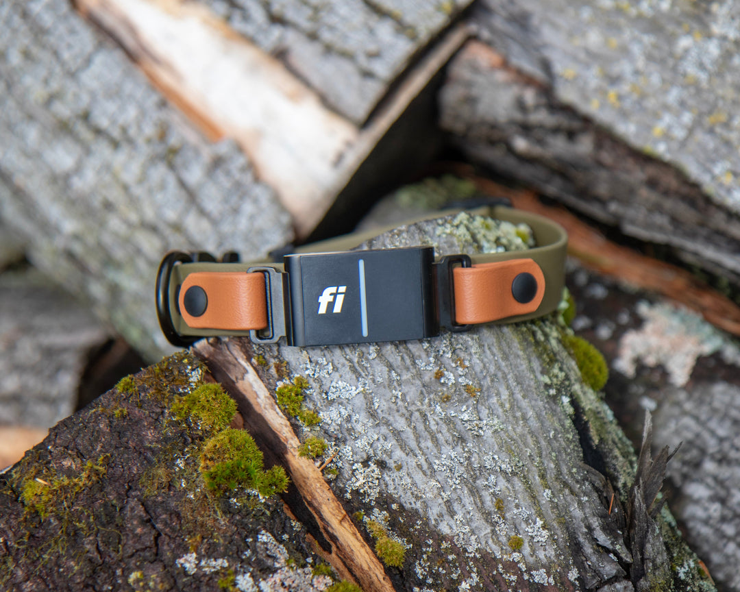 Fi Compatible 3/3+ Adjustable BioThane Collar With Quick Release Buckle | SeaFlower Co