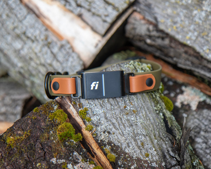 Fi Compatible 3/3+ Adjustable BioThane Collar With Quick Release Buckle | SeaFlower Co