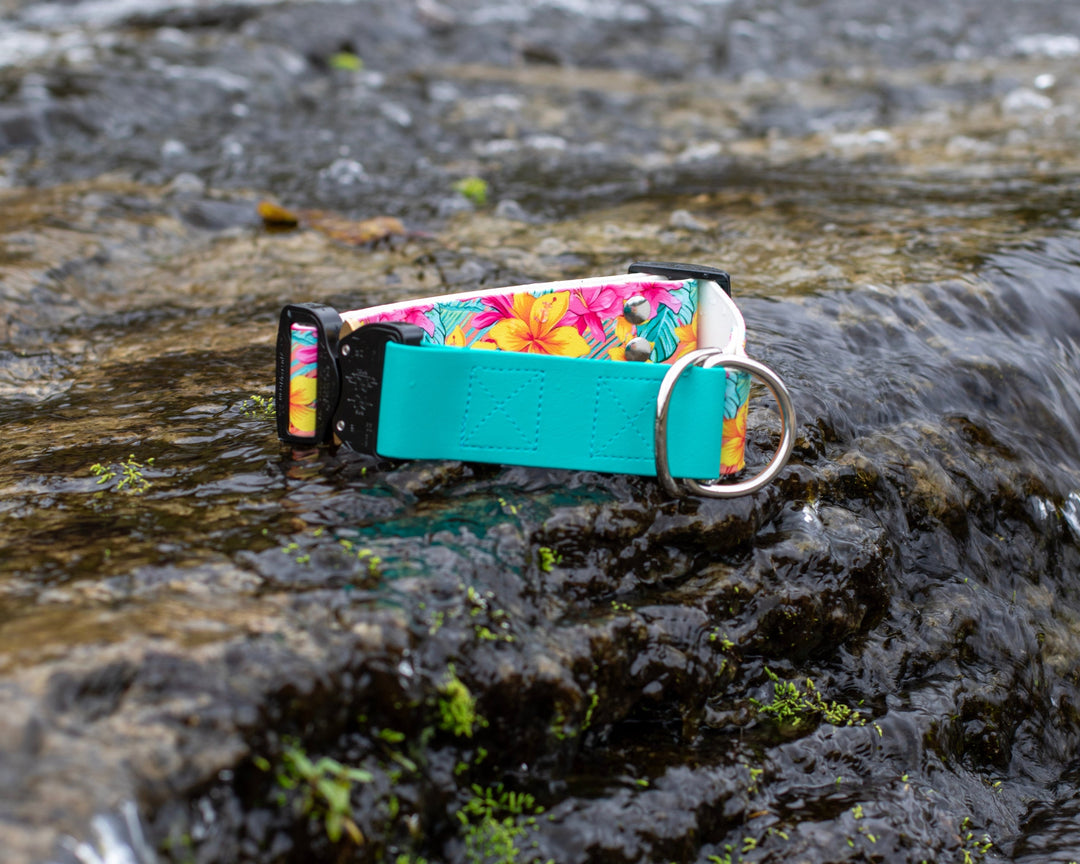 1.5" Limited Slip UV printed Biothane Collar With Buckle | SeaFlower Co
