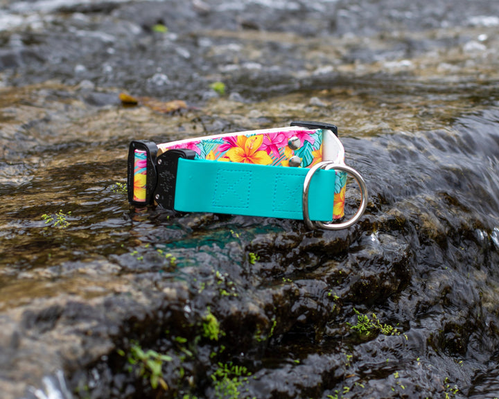 1.5" Limited Slip UV printed Biothane Collar With Buckle | SeaFlower Co