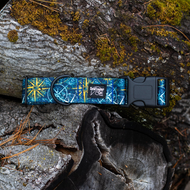 Dog collar with compass design on a wooden surface