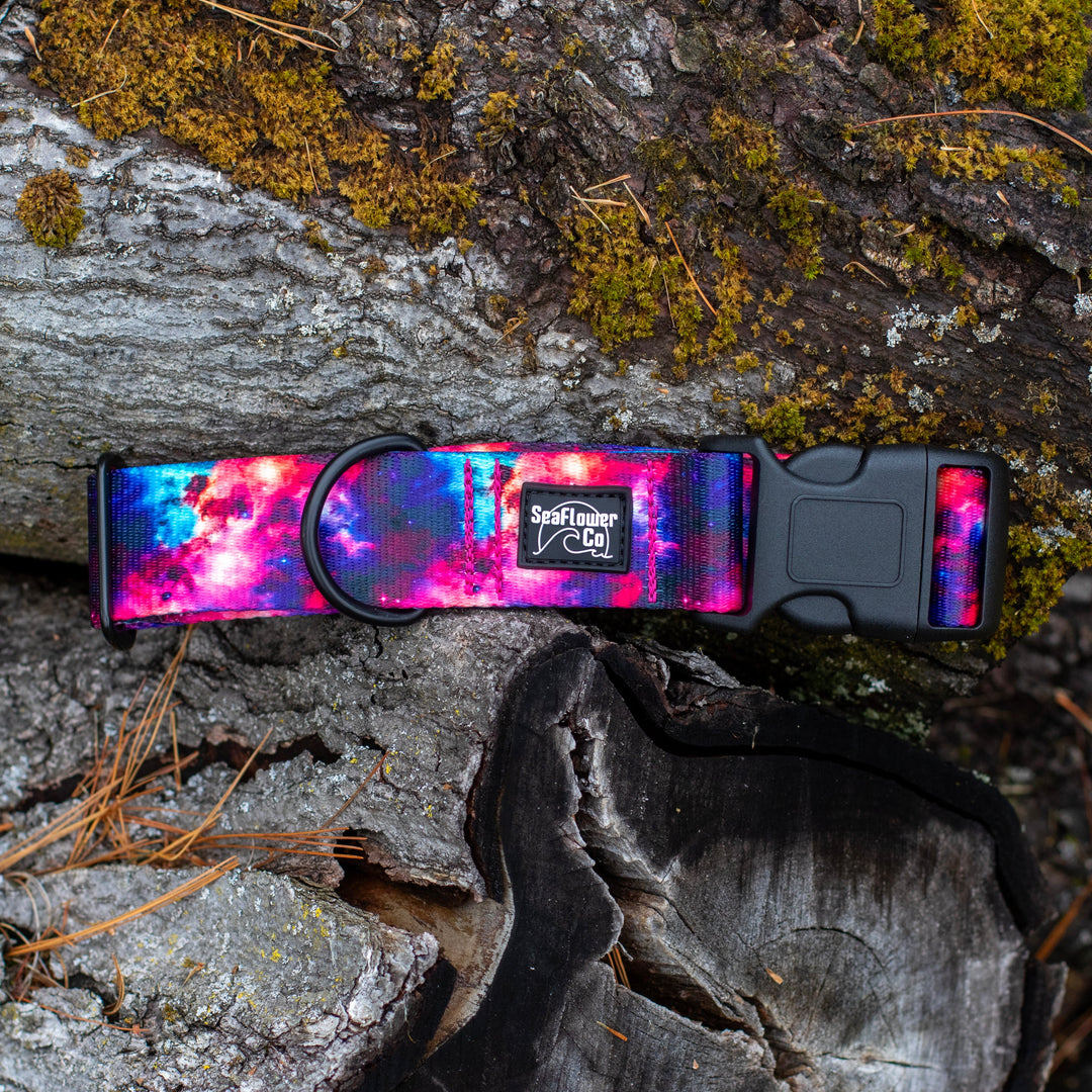 Vibrant Galaxy Dog Collar | Durable Dog Gear