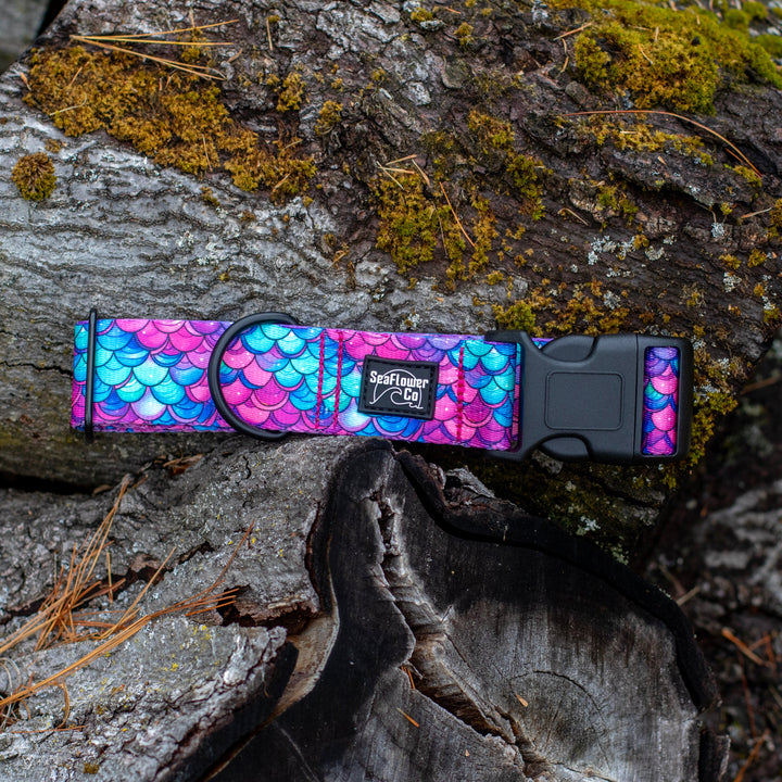 Colorful mermaid scale-patterned dog collar on a wooden surface