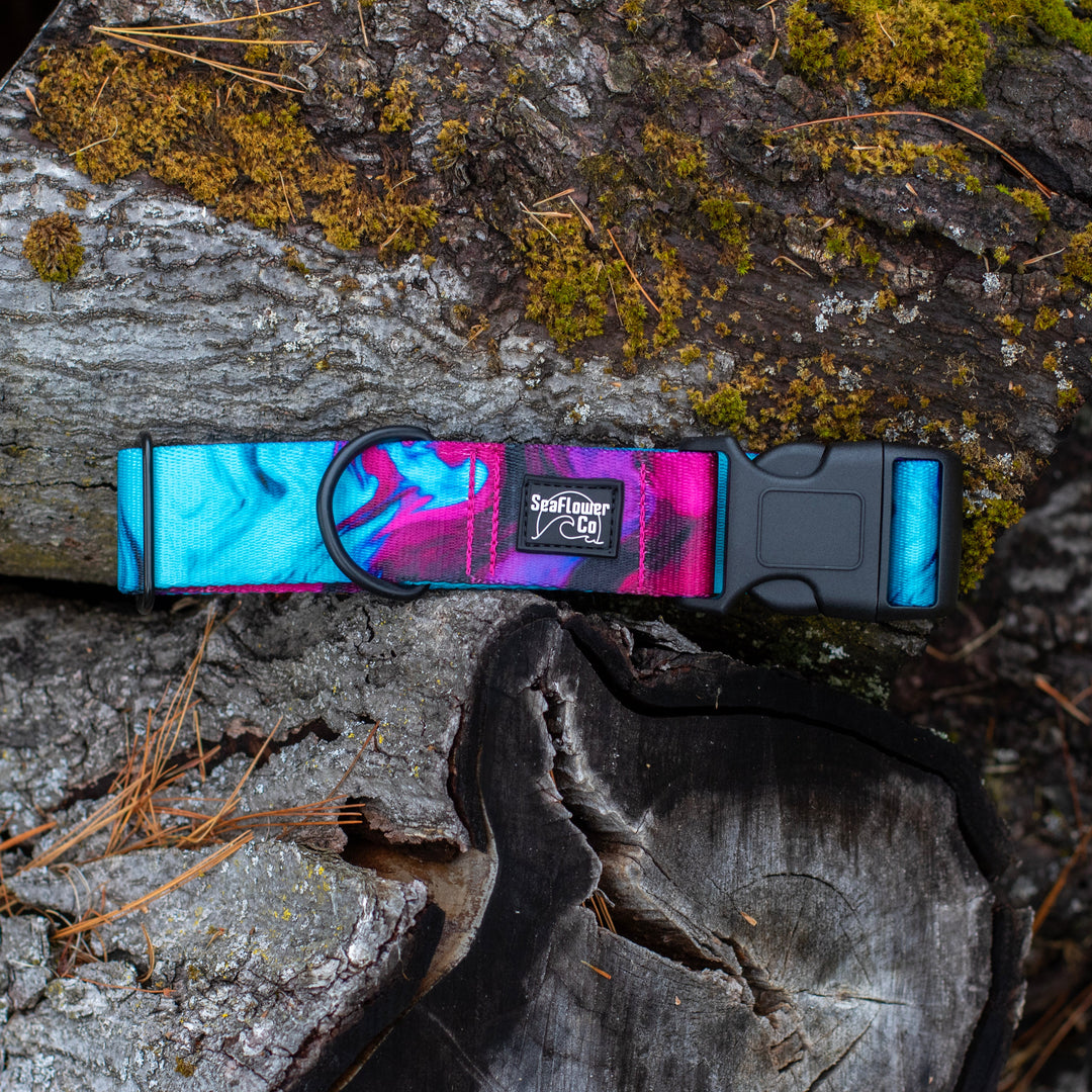 Colorful dog collar on a textured wooden surface