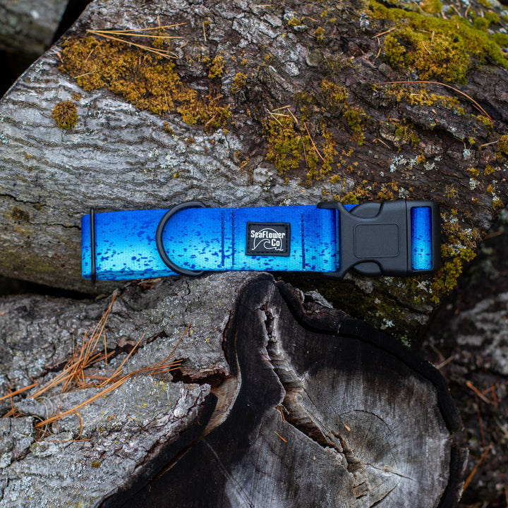 Blue Mahi Durable Dog Collar | SeaFlower Co