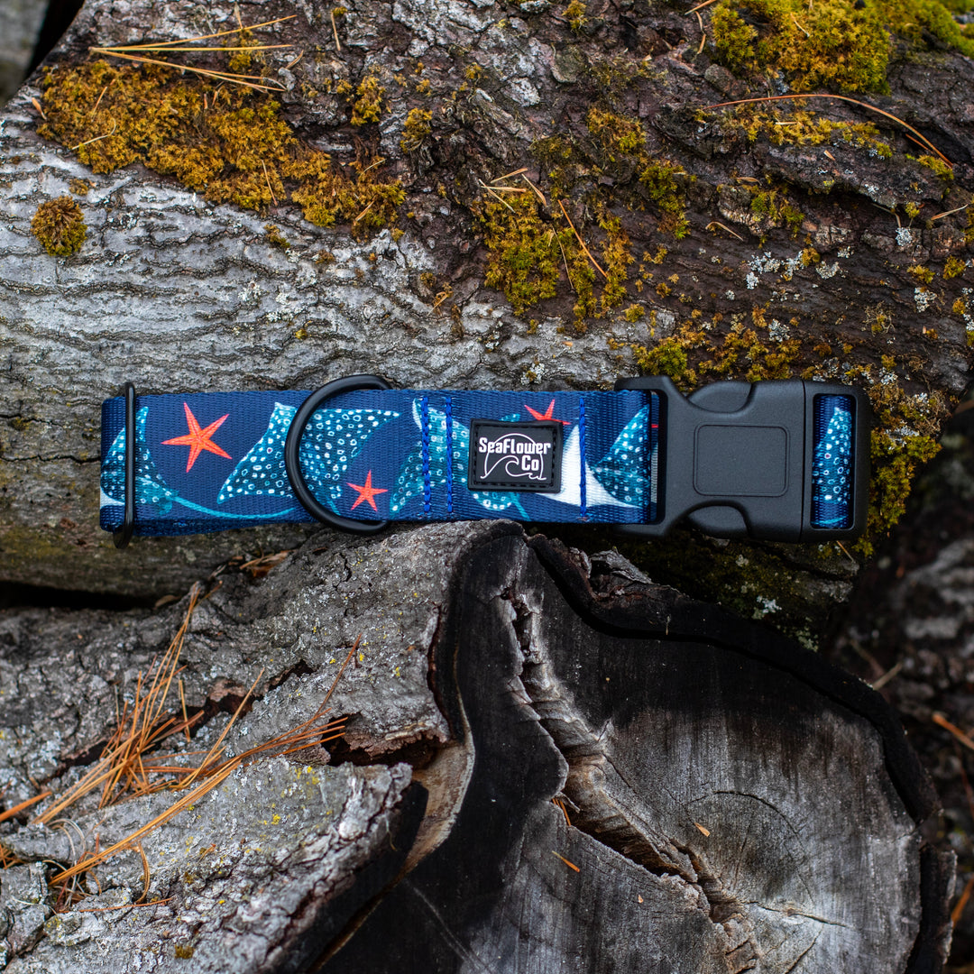 Spotted Eagle Ray Dog Collar | SeaFlower Co