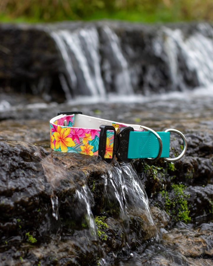 1.5" Limited Slip UV printed Biothane Collar With Buckle | SeaFlower Co