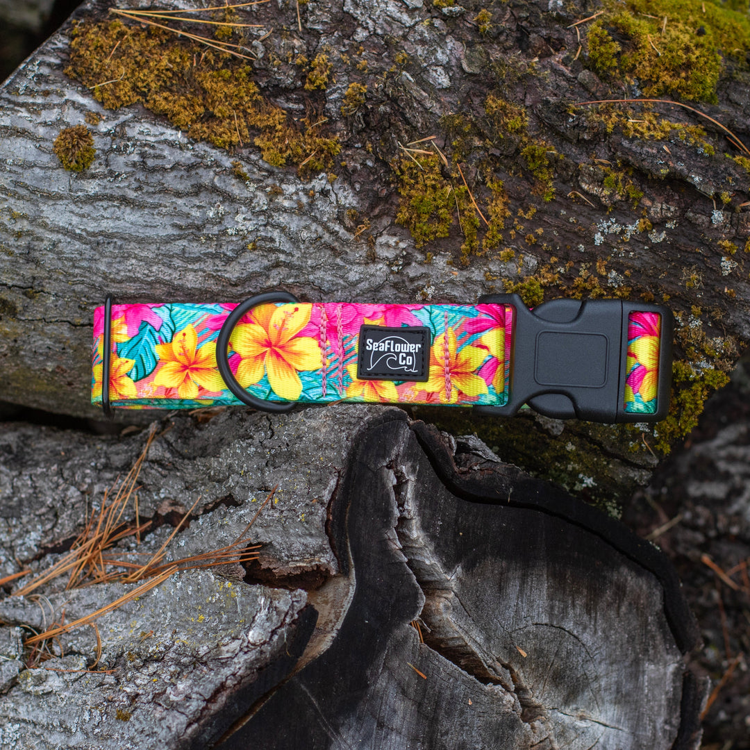 Vibrant Hawaiian Floral Dog Collar | SeaFlower Co