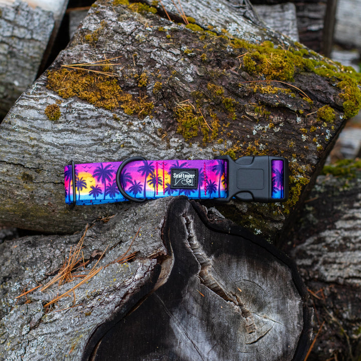 Sunset Beach Dog Collar | SeaFlower Co