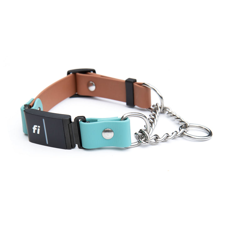 Fi Compatible Series 3/3+ Adjustable BioThane® Martingale | SeaFlower Co